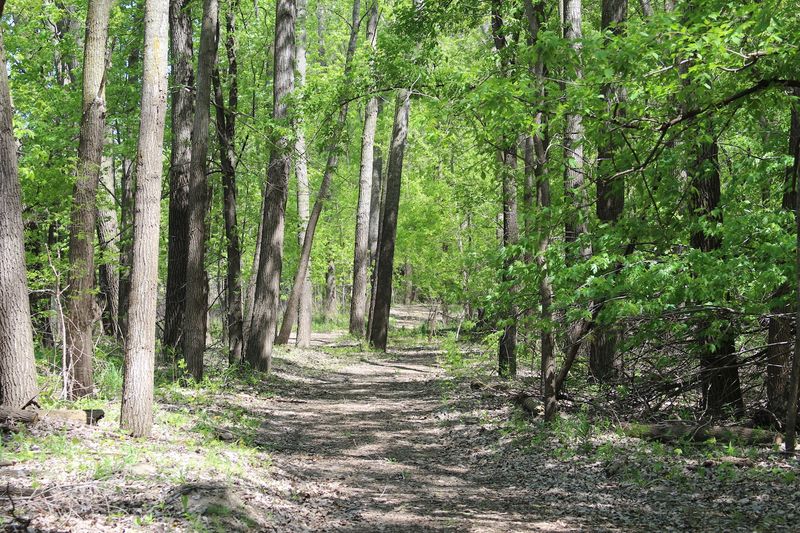 Natural Springs and Hidden Wildlife