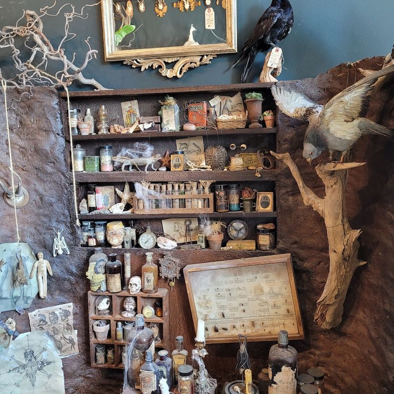 Ethically Sourced Specimens That Tell Real Stories