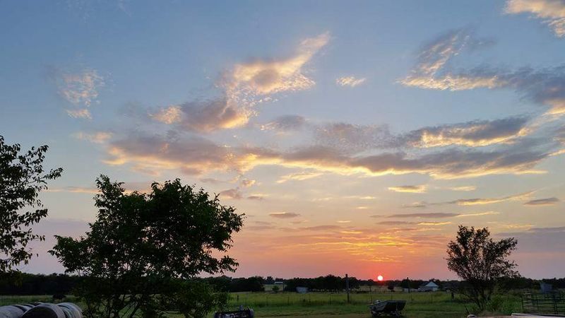 The Charm of Caddo Mills and Why Bucky's Fits Right In