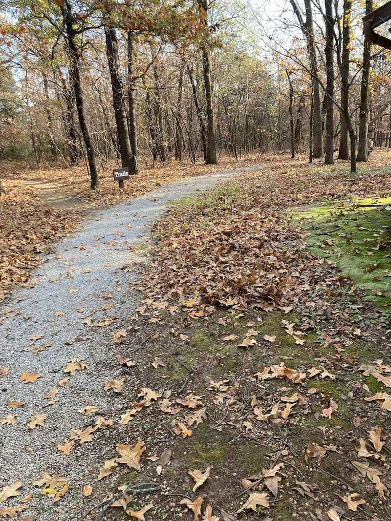 Trails That Invite You to Walk Without a Destination