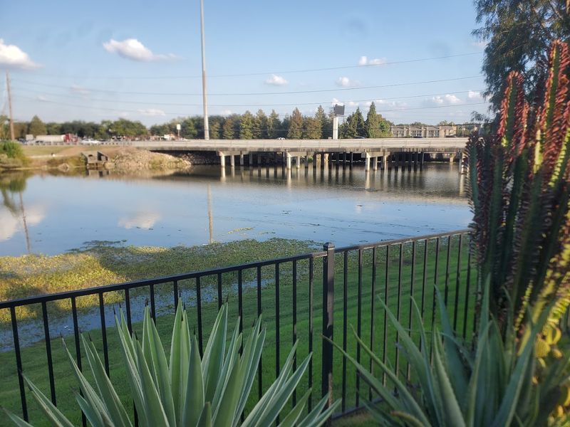 Why Sugar Land Needed This Place