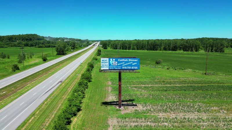 Why The Fish Market Is Worth the Drive