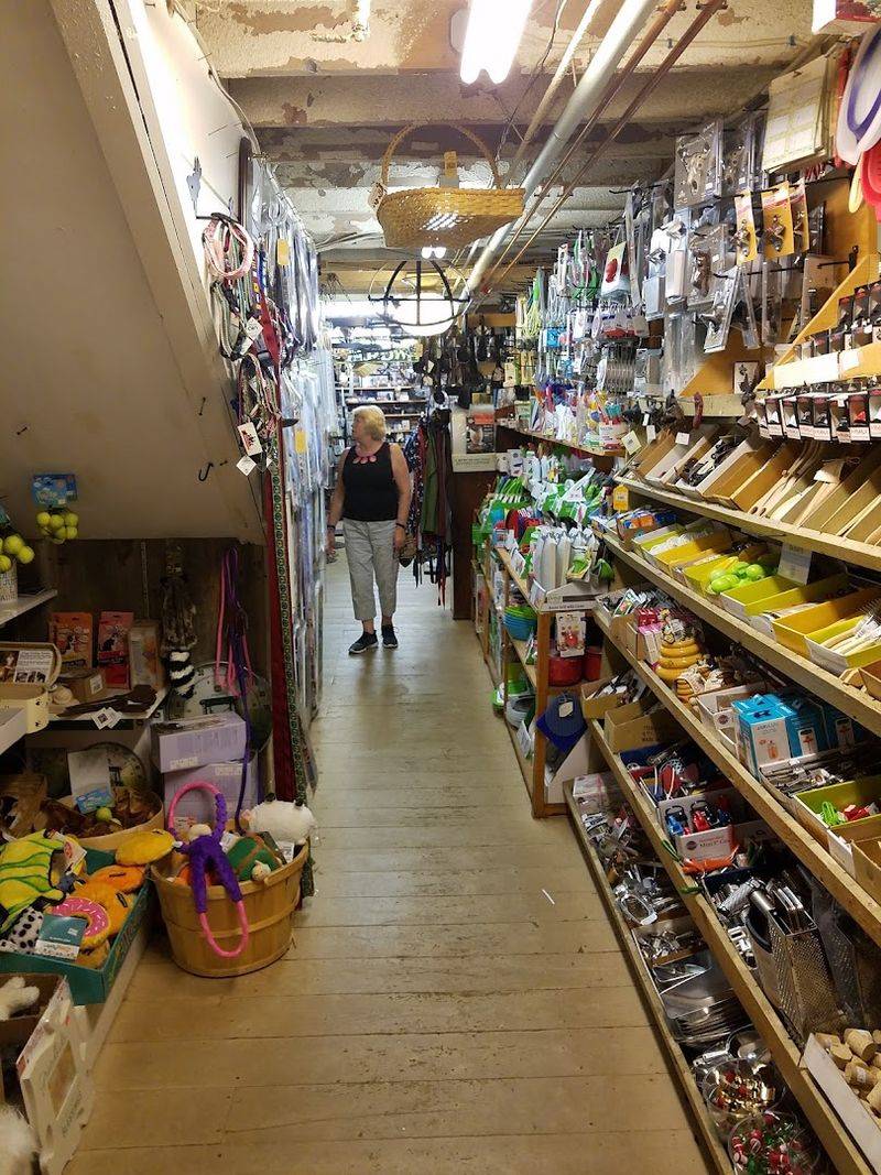 Family Ownership and the Warmth It Brings