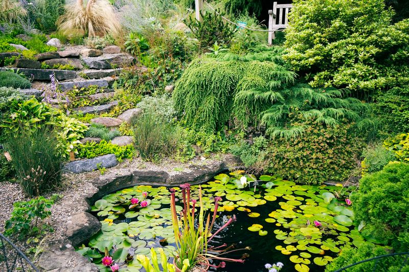 Free Admission That Makes the Visit Even Sweeter