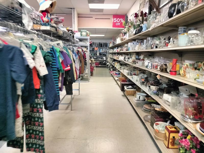 Vintage Glass and Collectibles Stop You in Your Tracks