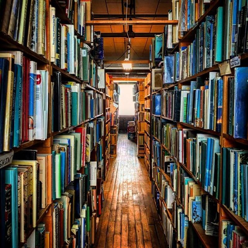 A Peaceful Afternoon Lost In A World Of Words