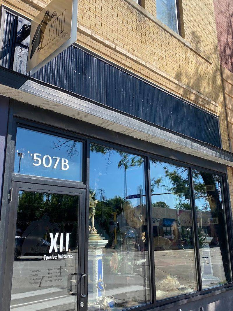 Finding Twelve Vultures and Making the Most of Your Visit