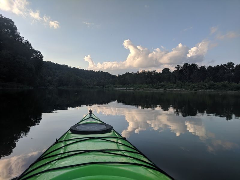 Wildlife Encounters That Remind You Nature Is Alive