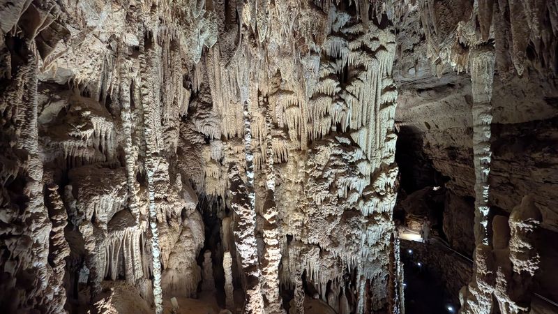 The Discovery Tour: Your First Look at an Underground World