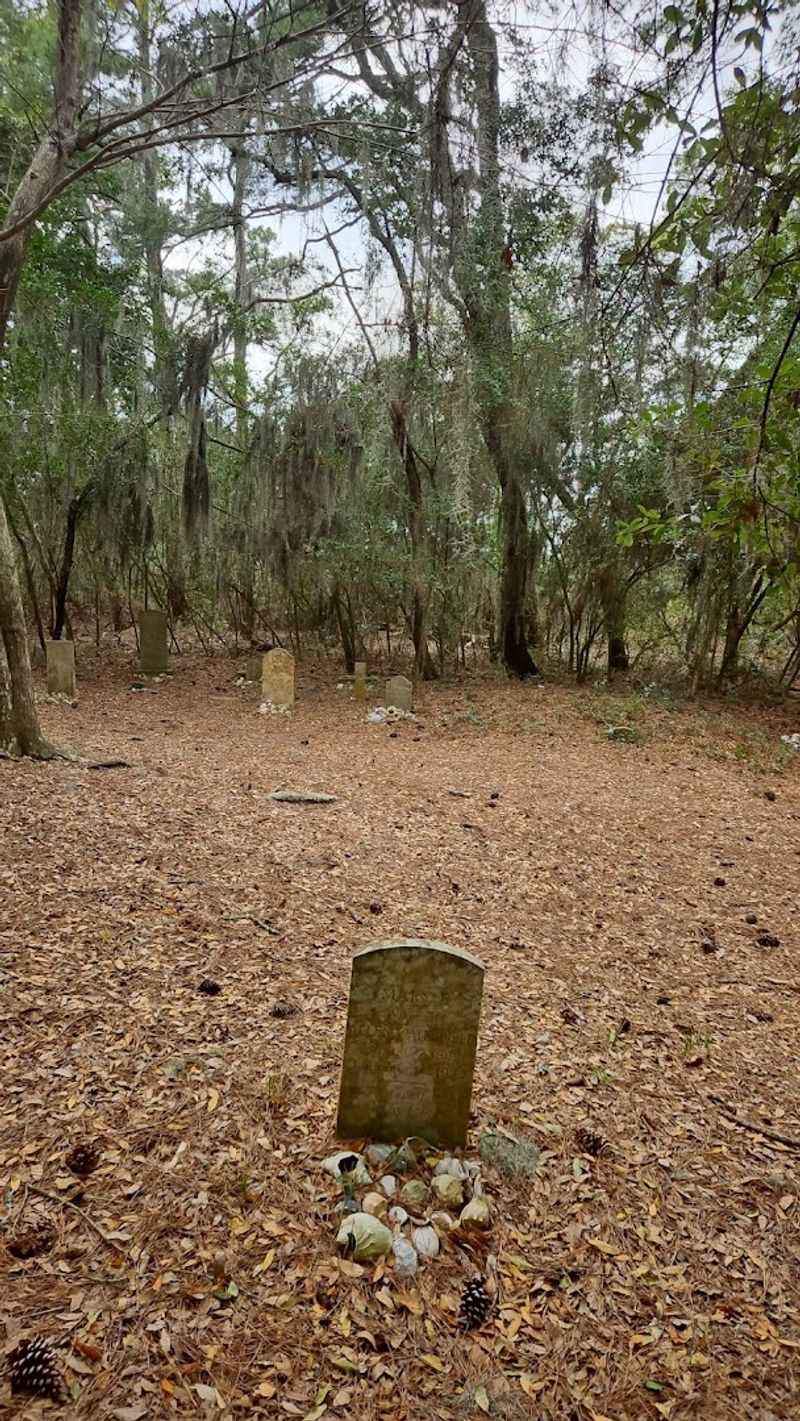 Building a Life on the Edge of the Ocean