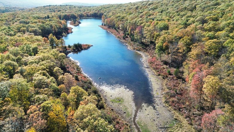 The Dam That Never Happened