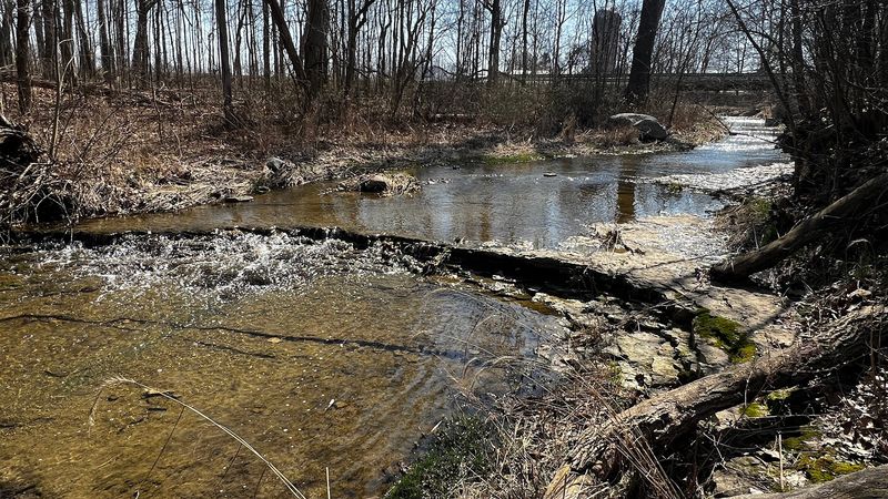 Biodiversity That Goes Far Beyond a Simple Walk in the Woods