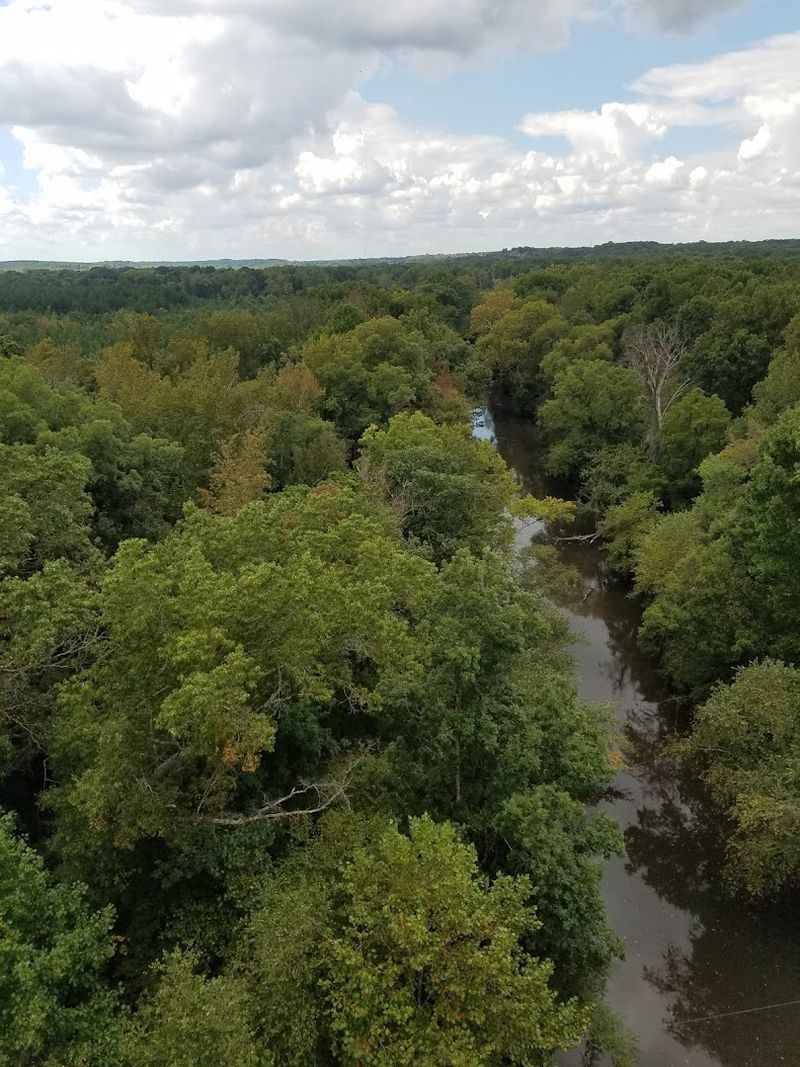 The Canopy That Keeps on Giving