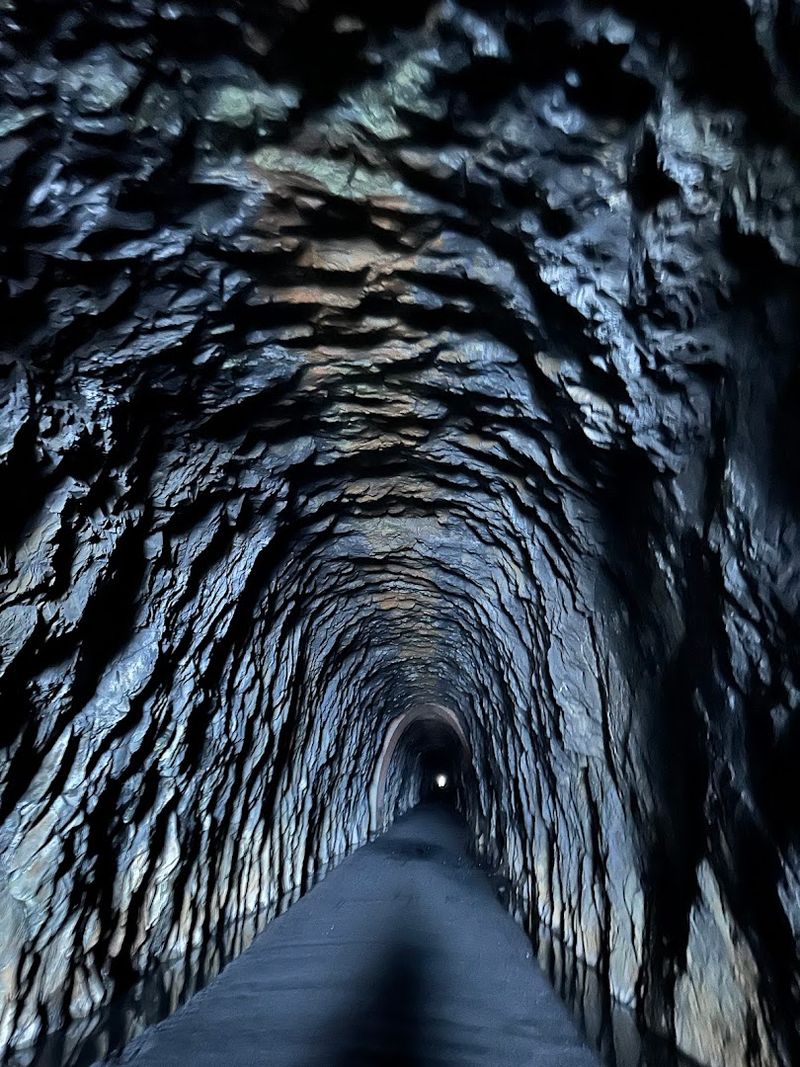 The Hands That Built It: A Story of Sacrifice