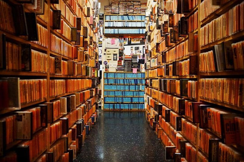 The Classy Side For Criterion And Director Walls