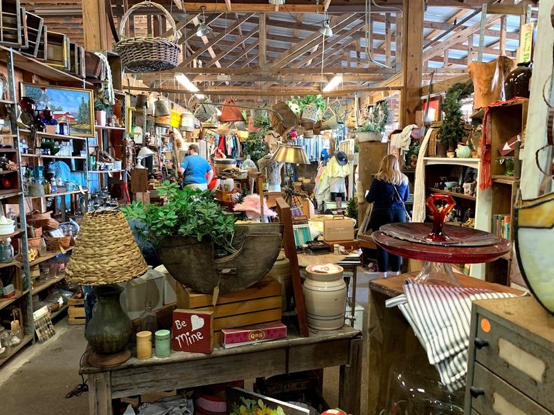 The Allure Of Vintage And Retro Finds