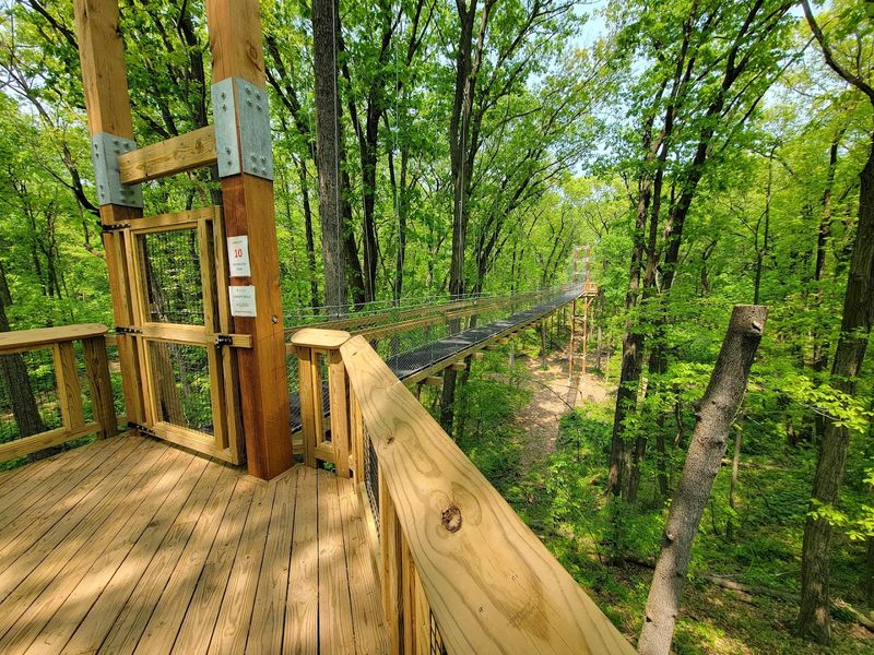 Families Bring Flashlights For The Dark Forest