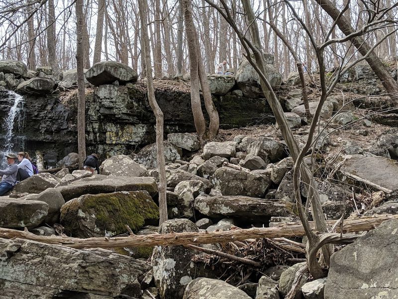 One Last Strike Before The Silent Forest Takes Over