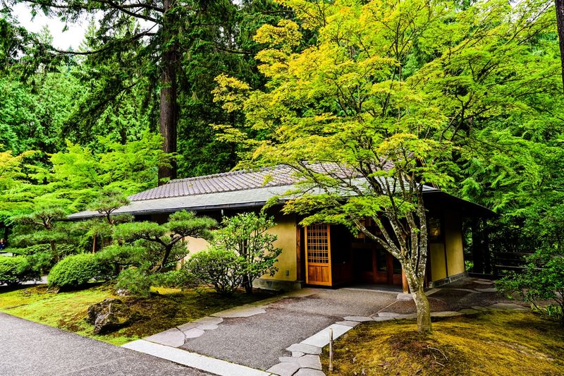 The Teahouse and the Art of Slowing Down