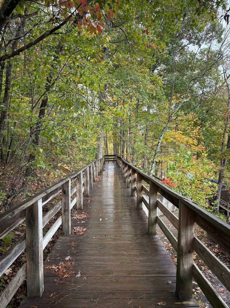 Easy Enough for Everyone in the Group