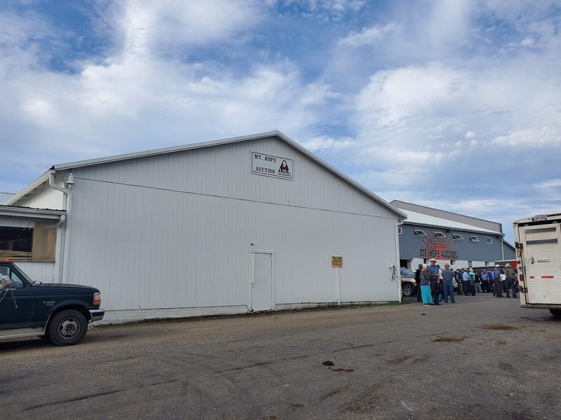 The Main Barn Built In Nineteen Seventy Nine