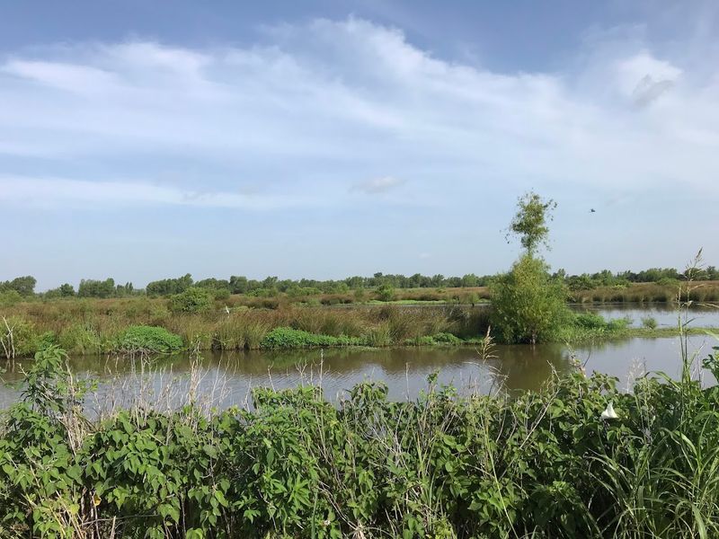 Birdwatching Heaven With a List That Keeps Growing