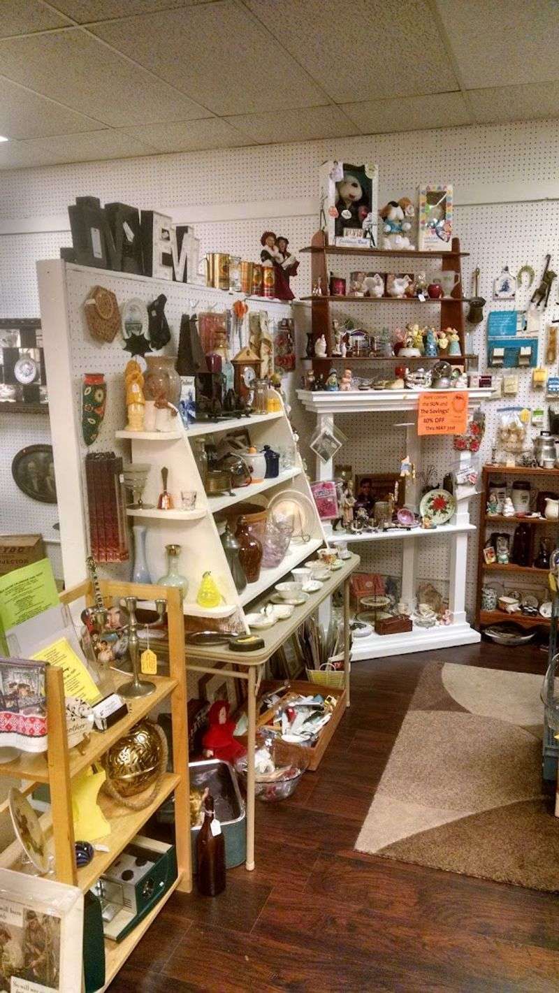 From Musty Books To Mid-Century Modern Gems