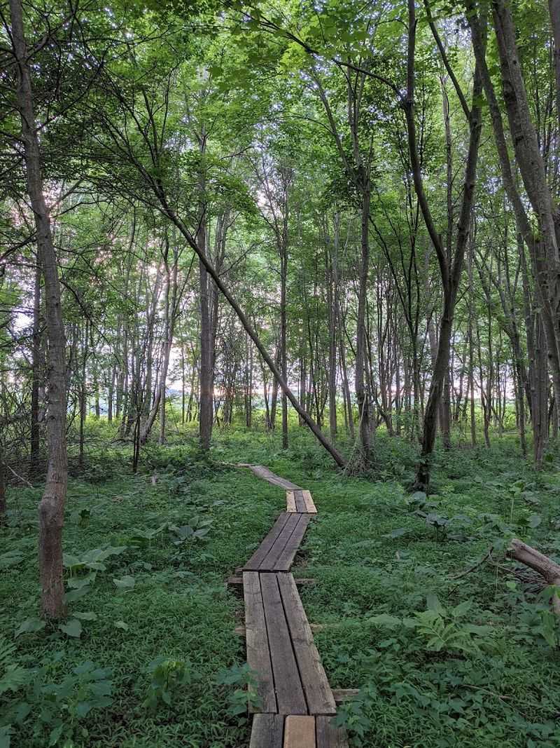 The Liberty Loop Trail Experience