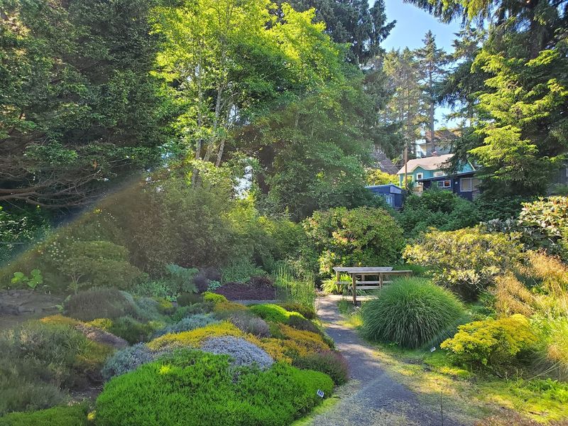 Mature Plantings With Real Depth and Variety