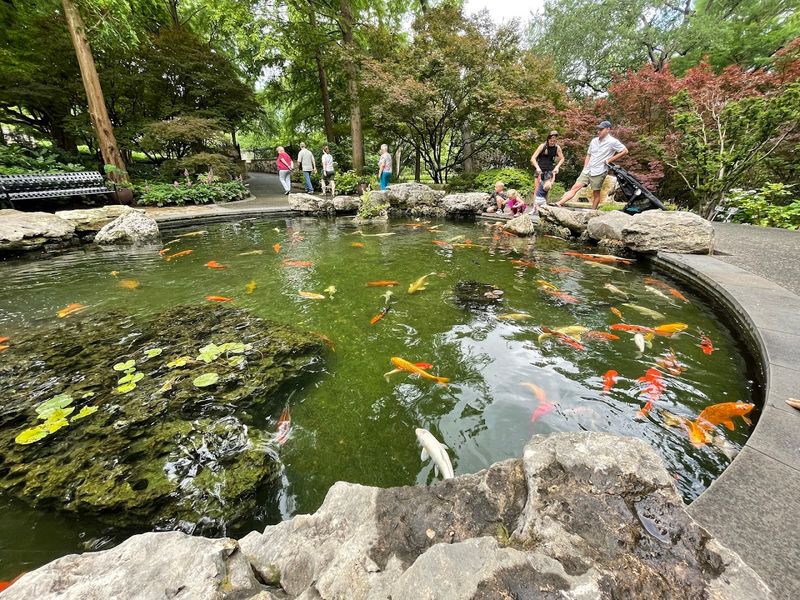 Rory Meyers Children’s Adventure Garden