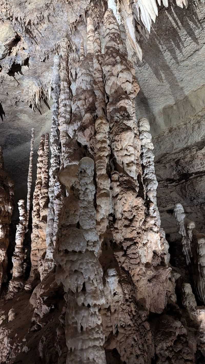 Gem and Fossil Mining: Digging Up Something Real