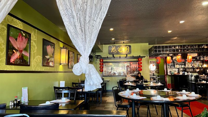 Lotus Garden, Vienna, VA