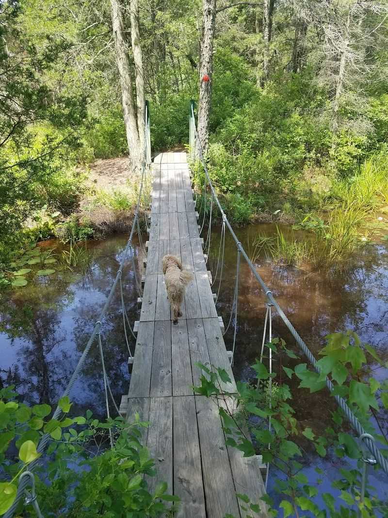 Practical Trail Tips: What to Know Before You Go