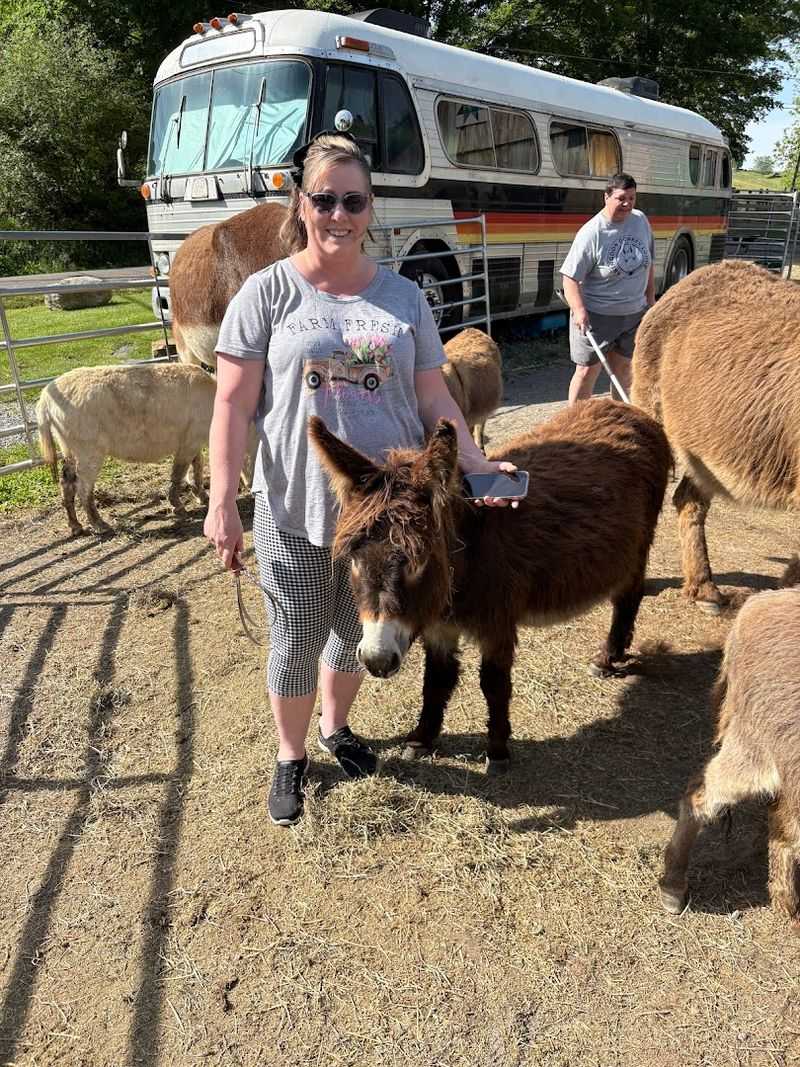 The Channels Nature Preserve: Wild Virginia at Its Finest