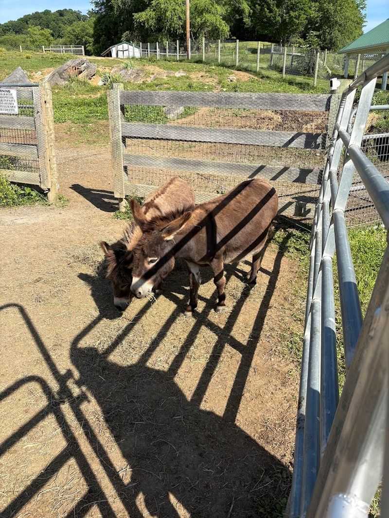 Plan Your Stay: Everything You Need to Know Before You Go