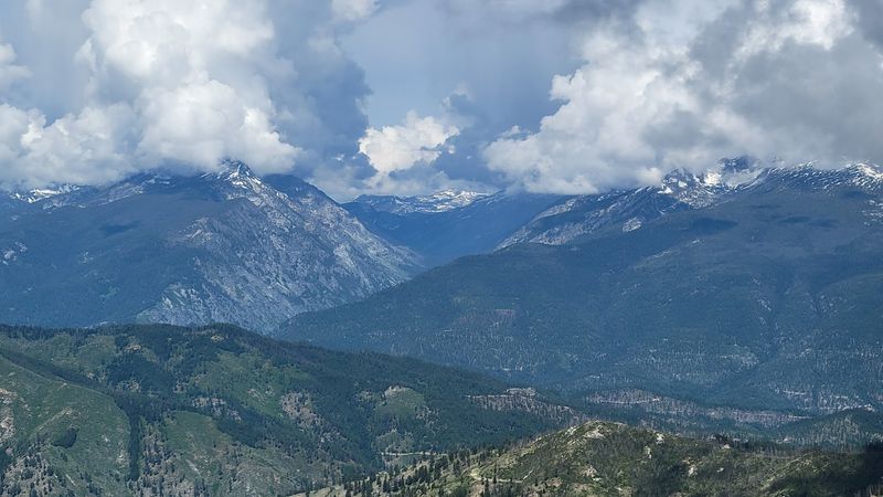 Wildlife Includes Elk, Black Bear, And Mountain Goats