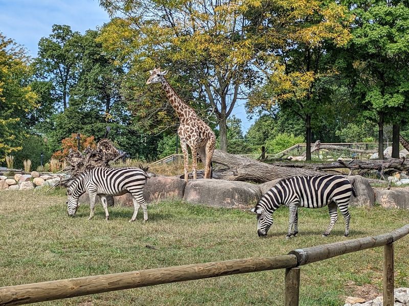 Diverse Animal Exhibits Featuring Over 400 Animals