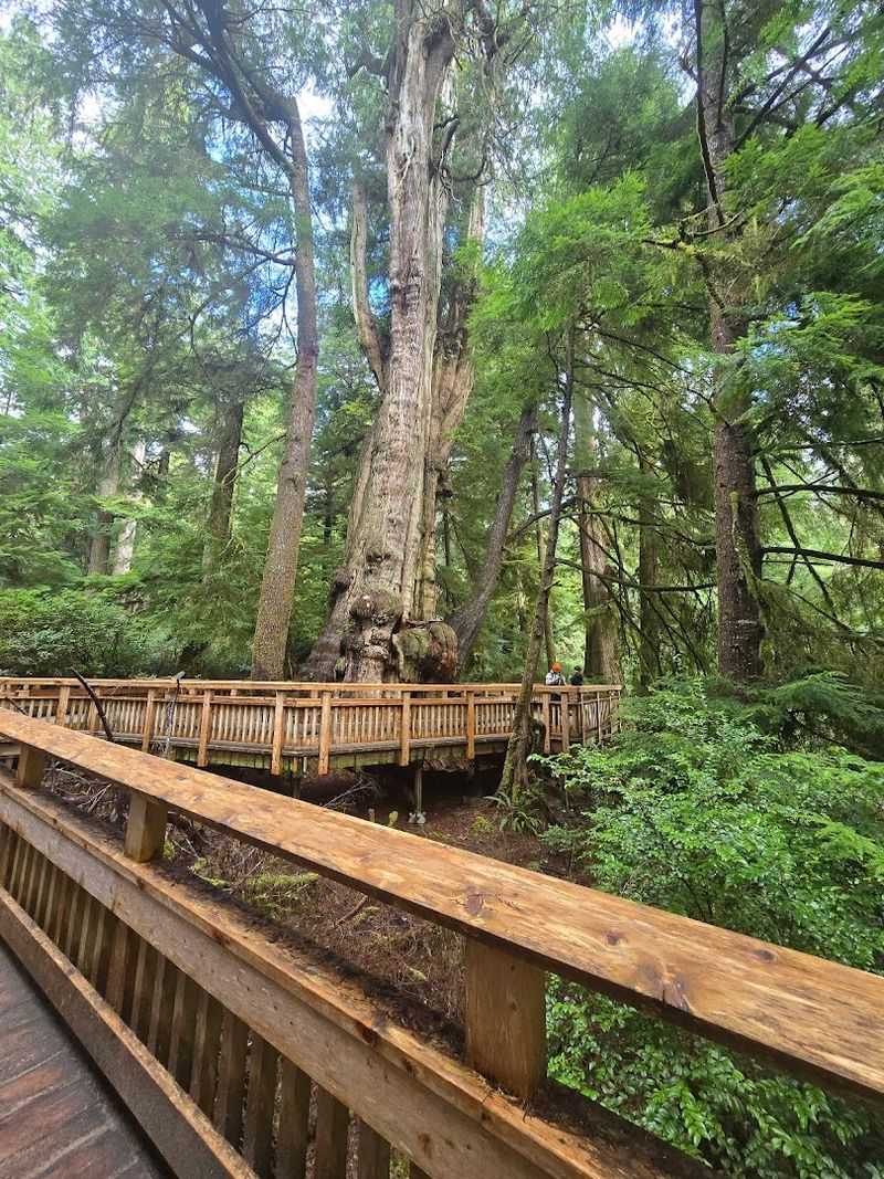 Best Times to Visit and What to Expect