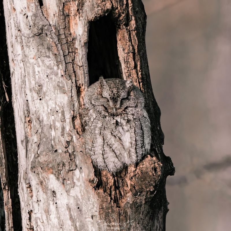 Educational Programs And Year-Round Events Worth Planning Around