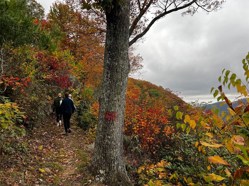 Adventure Activities That Go Way Beyond the Usual