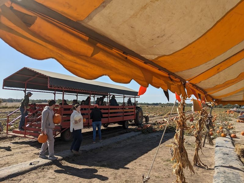 The Hayride Out to the Fields Is Worth Every Minute
