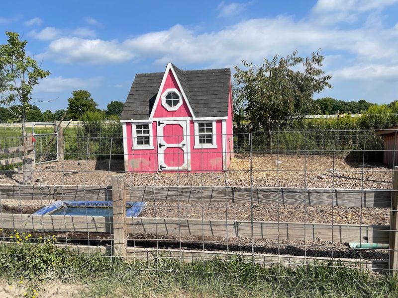 Connect With a Community of Genuine Animal Lovers