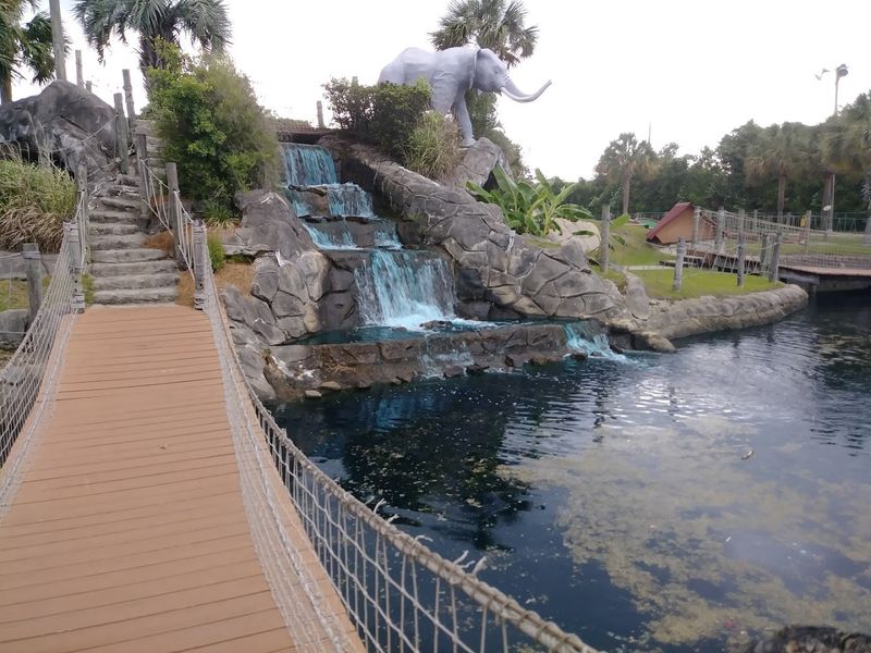 Senior-Friendly Recreation and Activities