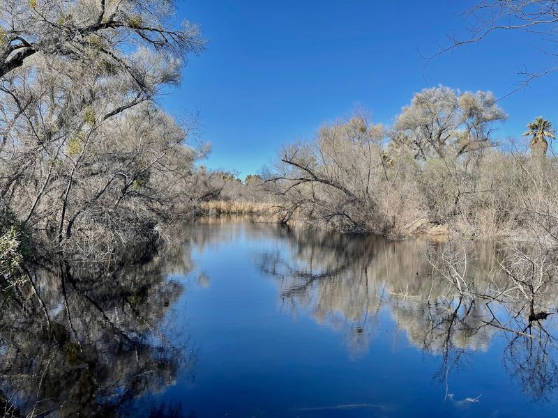 Hassayampa River