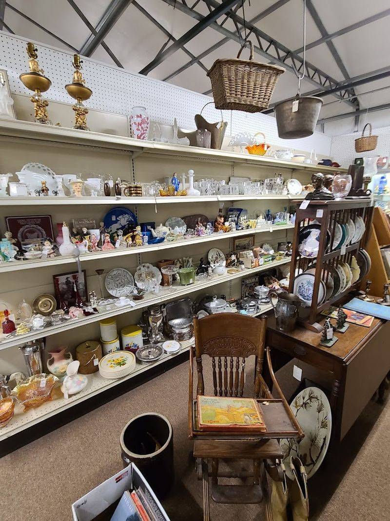 A Day Lost Among Beautifully Curated Collections