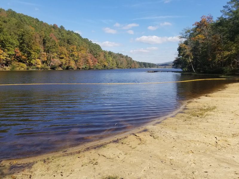 Double Oak Lake Swimming And Beach Recreation