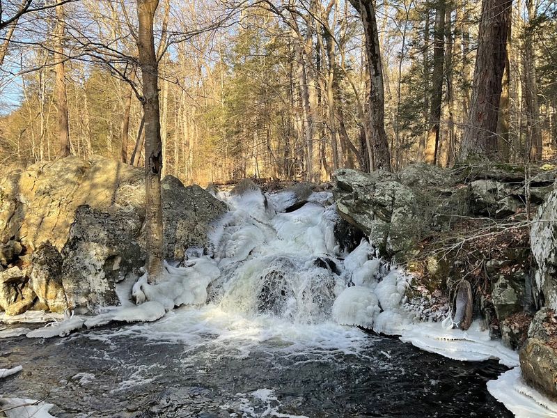 Small Waterfalls Hidden Along the Path