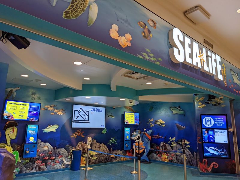 The Gift Shop and Souvenirs
