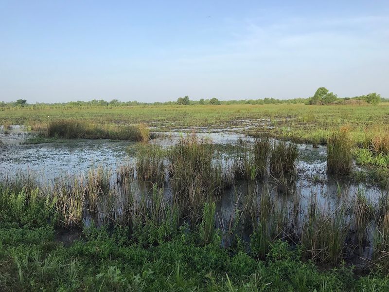 The Viewing Platforms and Walking Trails Worth Exploring