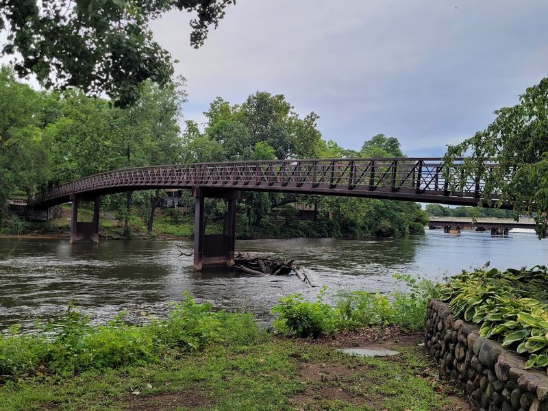 Multiple Railroads Mean Endless Variety for Train Spotters